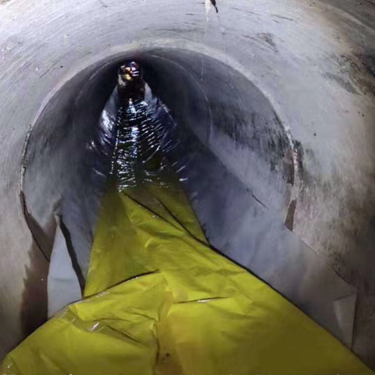 宁乡管道光固化修复